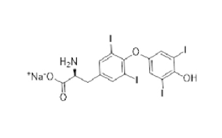 Levothyroxine Sodium Manufacturers in India